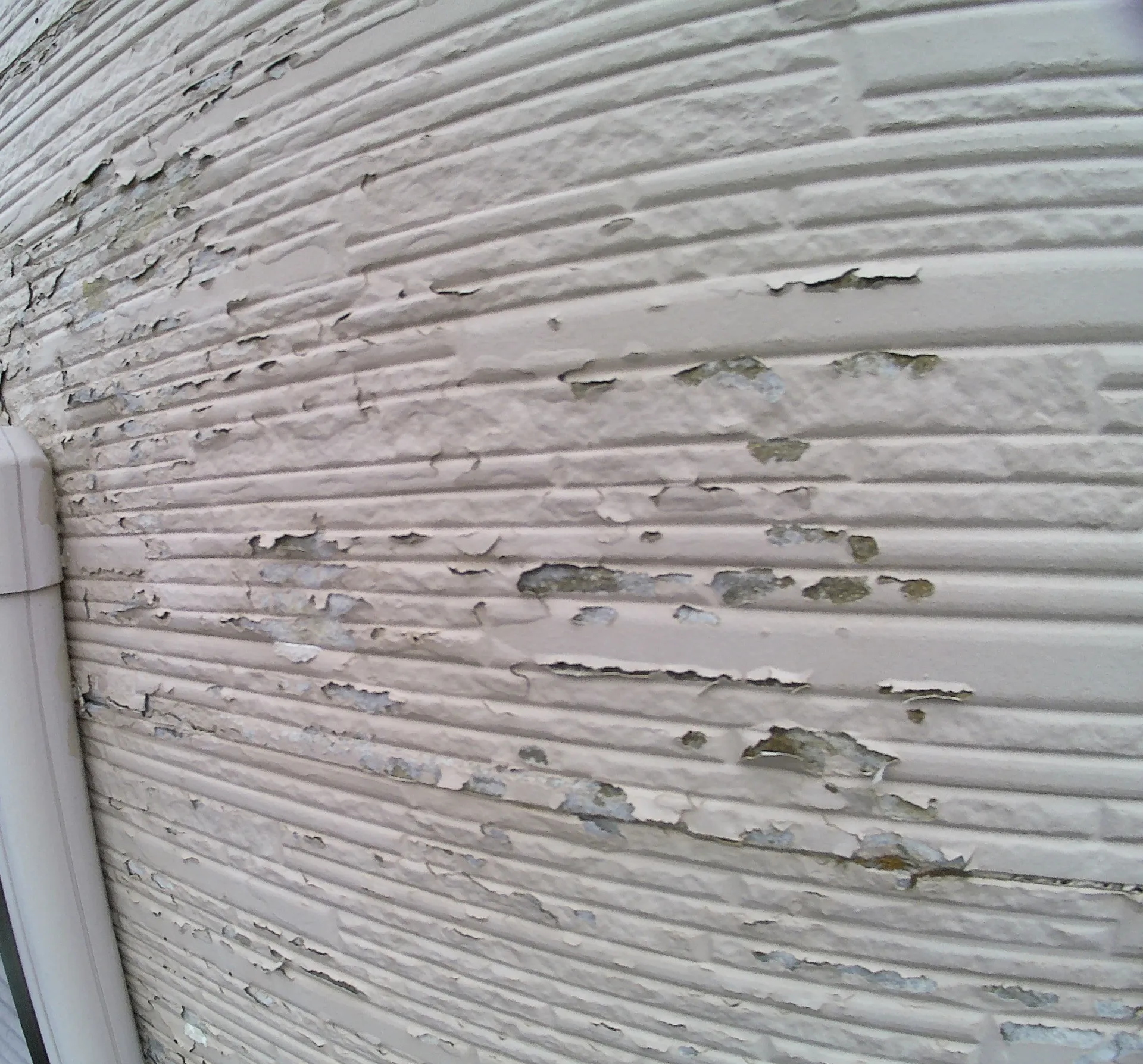 外壁塗装トラブルの具体例と対策ポイントを徹底解説